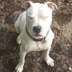 Meet your Posher, Adam